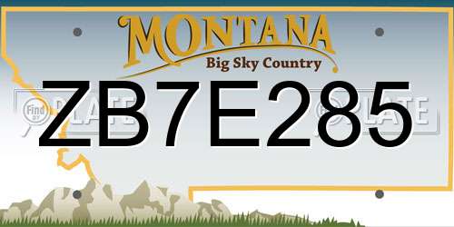 ZB7E285 Montana License Plate