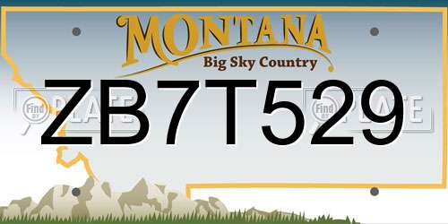ZB7T529 Montana License Plate