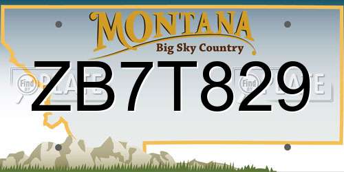 ZB7T829 Montana License Plate