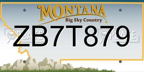 ZB7T879 Montana License Plate