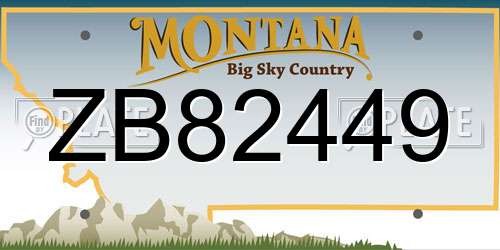 ZB82449 Montana License Plate
