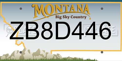 ZB8D446 Montana License Plate