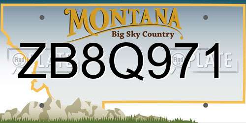 ZB8Q971 Montana License Plate