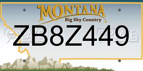 ZB8Z449 Montana License Plate