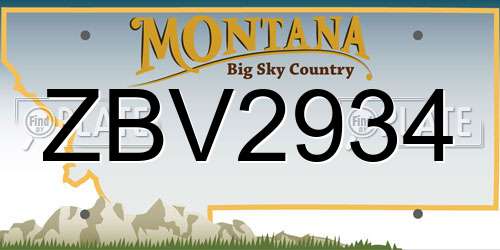 ZBV2934 Montana License Plate