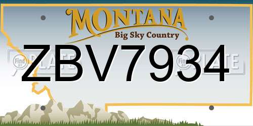 ZBV7934 Montana License Plate