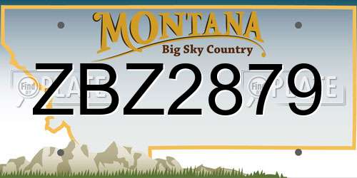 ZBZ2879 Montana License Plate