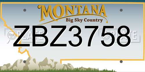 ZBZ3758 Montana License Plate