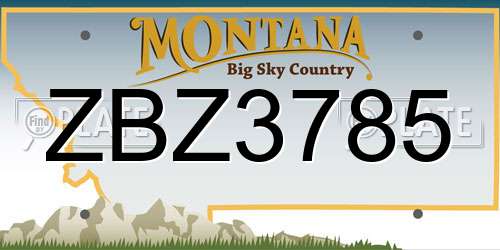 ZBZ3785 Montana License Plate