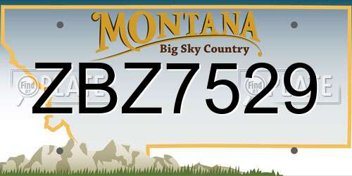 ZBZ7529 Montana License Plate