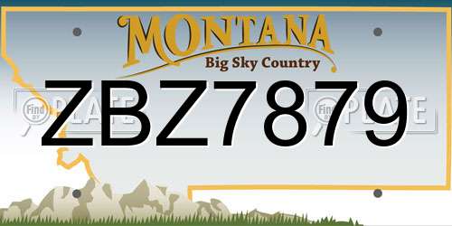 ZBZ7879 Montana License Plate