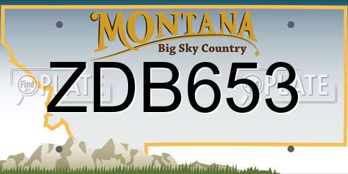 ZDB653 Montana License Plate