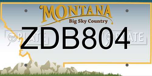 ZDB804 Montana License Plate