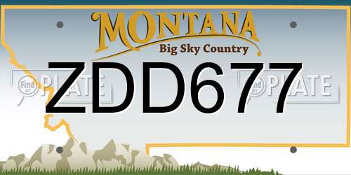 ZDD677 Montana License Plate