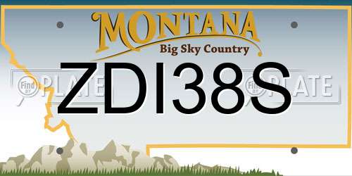 ZDI38S Montana License Plate