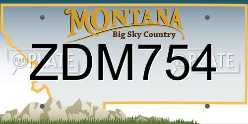 ZDM754 Montana License Plate