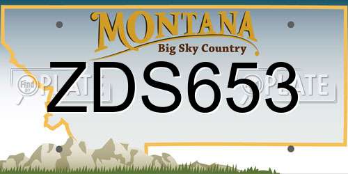 ZDS653 Montana License Plate