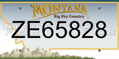 ZE65828 Montana License Plate