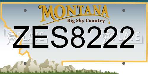 ZES8222 Montana License Plate