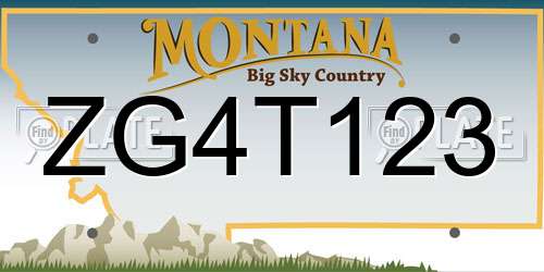 ZG4T123 Montana License Plate