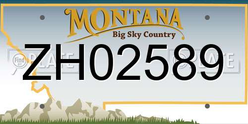 ZH02589 Montana License Plate