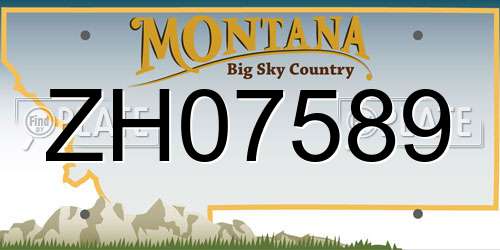 ZH07589 Montana License Plate