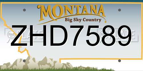 ZHD7589 Montana License Plate