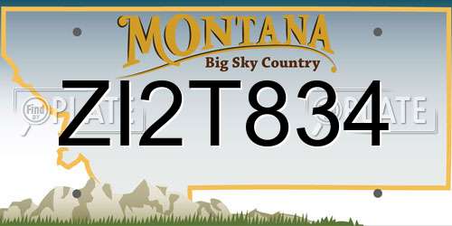 ZI2T834 Montana License Plate