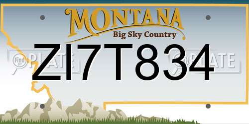 ZI7T834 Montana License Plate