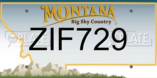 ZIF729 Montana License Plate