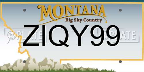ZIQY99 Montana License Plate