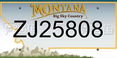 ZJ25808 Montana License Plate
