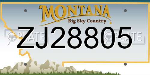 ZJ28805 Montana License Plate