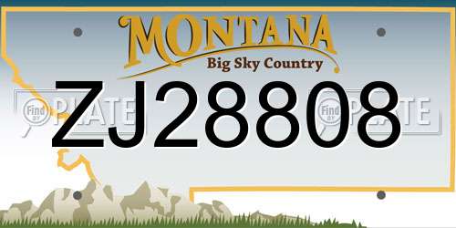 ZJ28808 Montana License Plate
