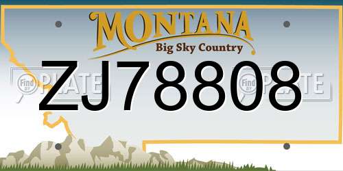 ZJ78808 Montana License Plate