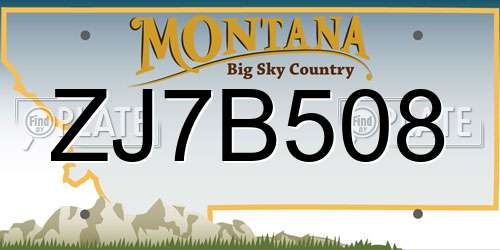 ZJ7B508 Montana License Plate