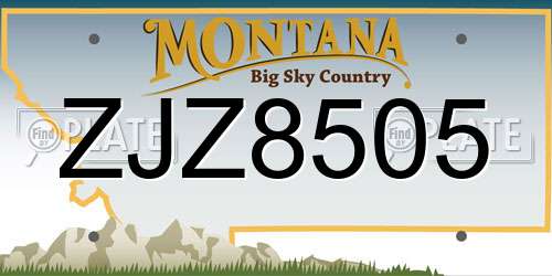 ZJZ8505 Montana License Plate