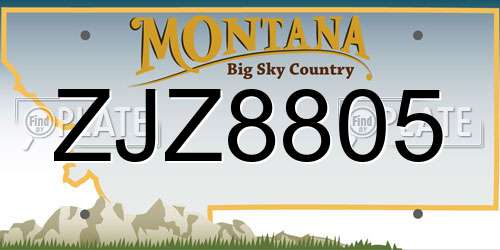 ZJZ8805 Montana License Plate