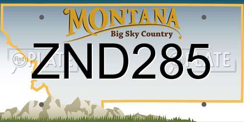 ZND285 Montana License Plate