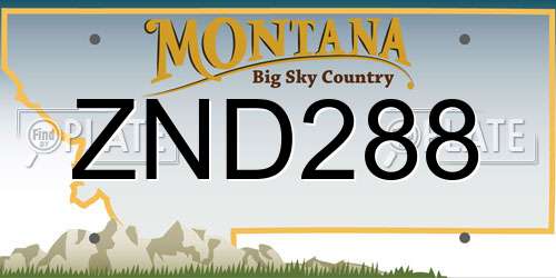 ZND288 Montana License Plate