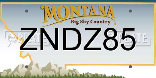ZNDZ85 Montana License Plate