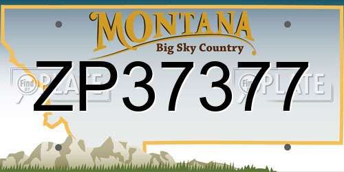 ZP37377 Montana License Plate