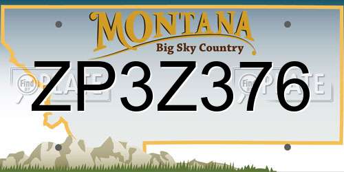 ZP3Z376 Montana License Plate