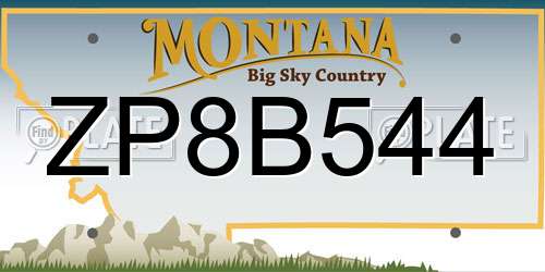ZP8B544 Montana License Plate