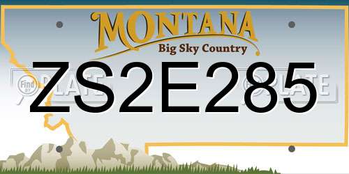 ZS2E285 Montana License Plate