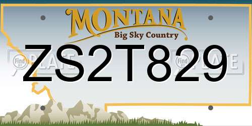 ZS2T829 Montana License Plate