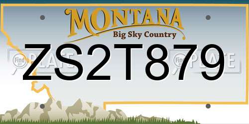 ZS2T879 Montana License Plate