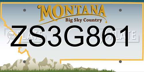 ZS3G861 Montana License Plate