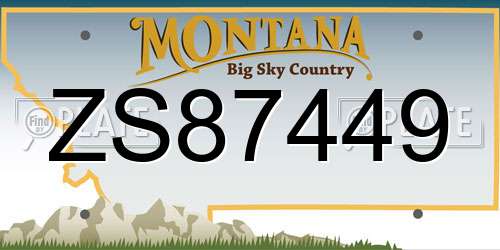 ZS87449 Montana License Plate