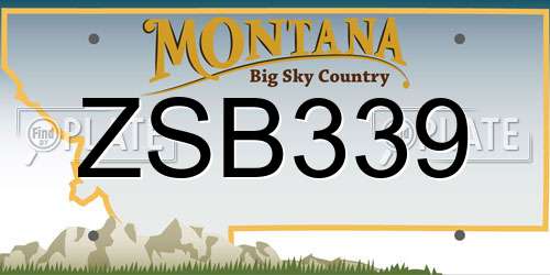 ZSB339 Montana License Plate